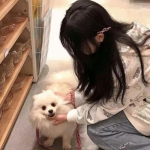 九游风起苍岚手游下载